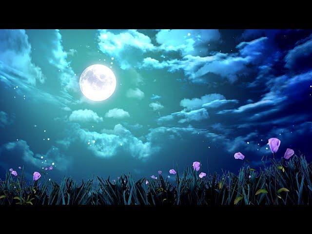 10 Hours Relaxing Sleep Music + Night Nature Sounds  Stress Relief Music, Insomnia, Calming Music