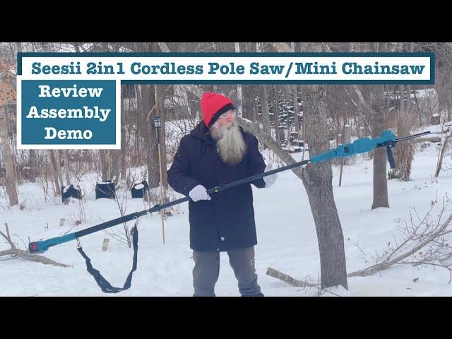 Mini Chainsaw & Pole Saw - GAME CHANGER for clearing invasive species. Assembly & Tree Pruning Demo