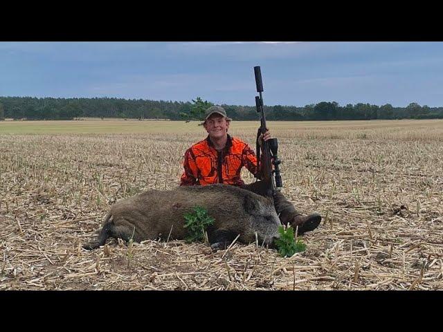 Erntejagd in der Heide - Feld und Jagd