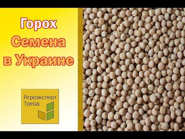 Семена Гороха  Купить в Украине  от Агроэксперт Трейд