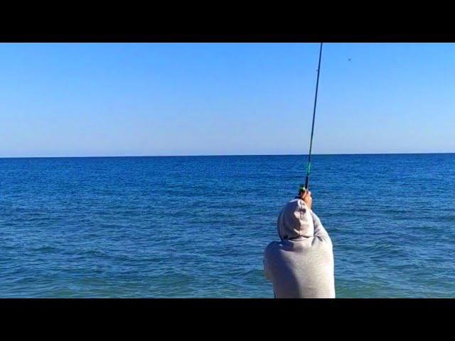 Ловля кефали с берега. Рыбалка. Лов кефалі з берега. Риболовля. #fishing #рыбалка