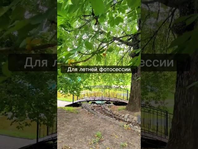 Красивое место для свадебной фотосессии #свадебныйфотограф