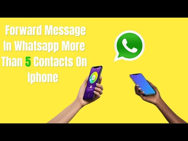 How To Forward Messages In Whatsapp More Than 5 Contacts On Iphone