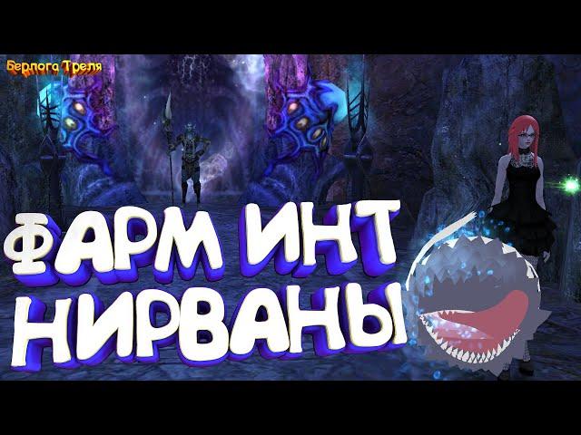 Фарм Инт Нирваны. Новый сервер Comeback PW X