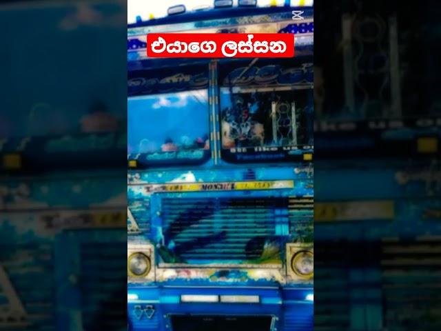 එයාගෙ ලස්සන #capcut #trending #automobile #trendingshorts