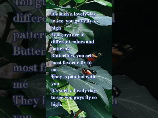 Butterfly   @VERSE VIBES