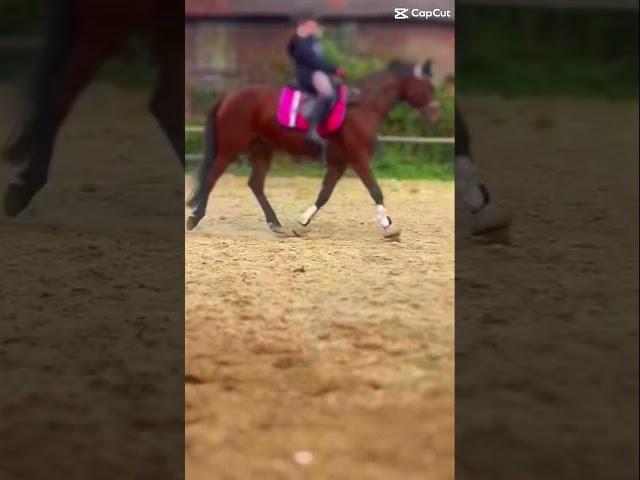 HAB LW und sry das so lange nichts kam  #langeweile #horse #miniworld #mimi #ytshort