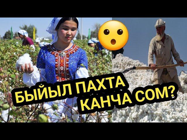 ПАХТАНЫН баасы КАЧАН чечилет?