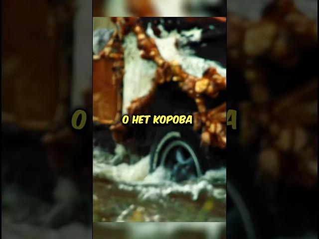 ПЕРЕПЛЫВАЕМ РЕКУ НА САМОДЕЛЬНЫХ АВТОМОБИЛЯХ#topgear #шоу #авто #топгир