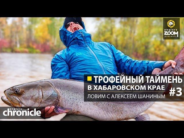 Трофейный таймень в Хабаровском крае. Ловим с Алексеем Шаниным. Часть 3. Anglers Chronicle