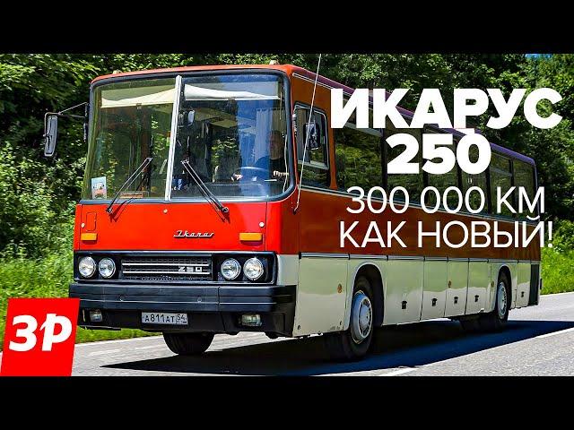 Икарус 250 - за что любили туриста из Венгрии / Автобус Ikarus 250 в СССР тест и обзор