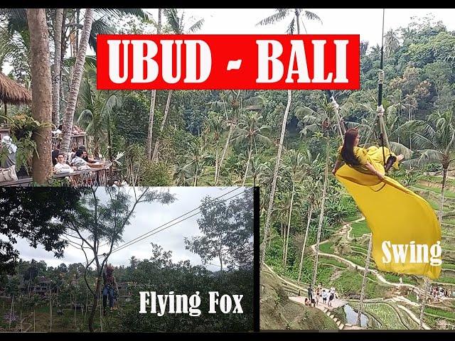 PESONA WISATA UBUD BALI, MENGUJI ADRENALIN DENGAN  OUTBOUNG FLYING FOX & SWING