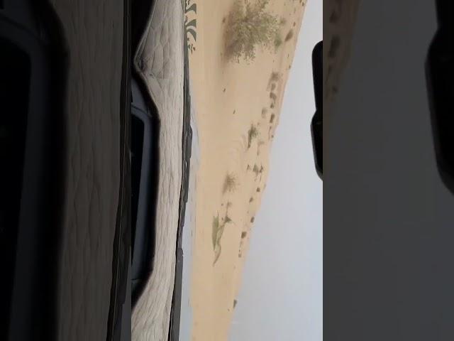 Desert Safari (2) | Dubai | UAE