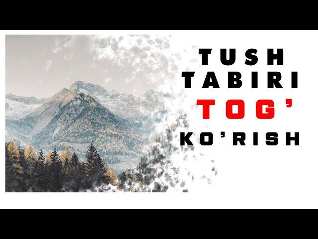 Tushda Tog' Ko'rish Tabiri