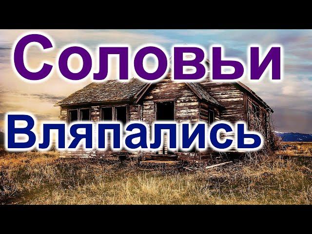 Соловьи. Вляпались с покупкой дома