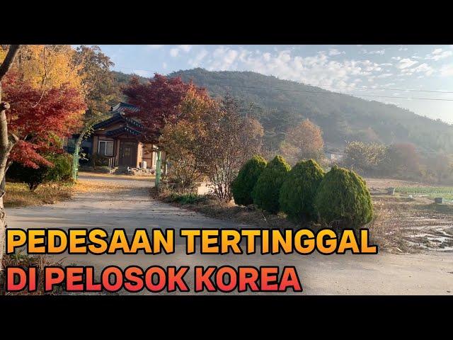 PEDESAAN KOREA SELATAN | KENAPA SEPI???