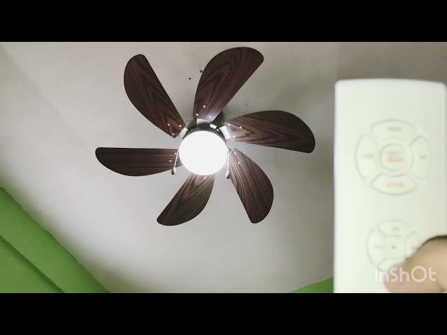 Installing and Testing 36” American Star Decorative Ceiling Fan Light l Unboxing