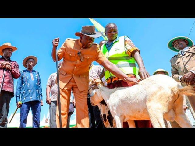 LIVE!! President Ruto & DP Kindiki Gracing the Annual Kimalel Goat Auction, Baringo County!!