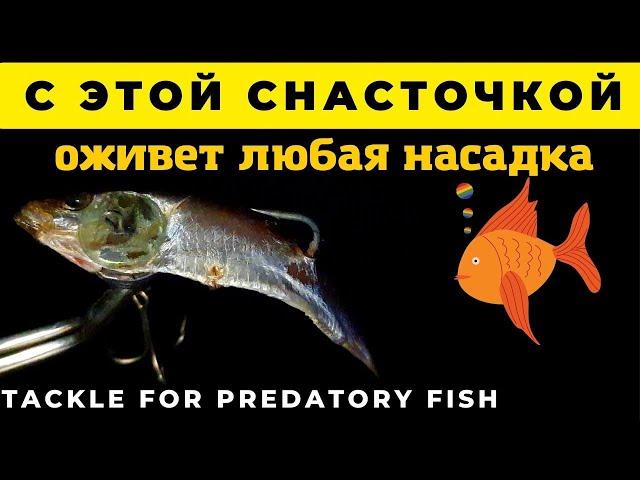 Снасточка с килькой или мойвой и  без рыбы не останешься Tackle for predatory fish