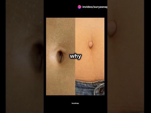 Innie vs Outie: Belly Button Facts!  #bellybutton #bodyfacts #funfacts #shorts