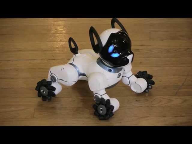 Quadcopter R.E.V. Air and Chip Smart Robot Dog display on BeTerrific!