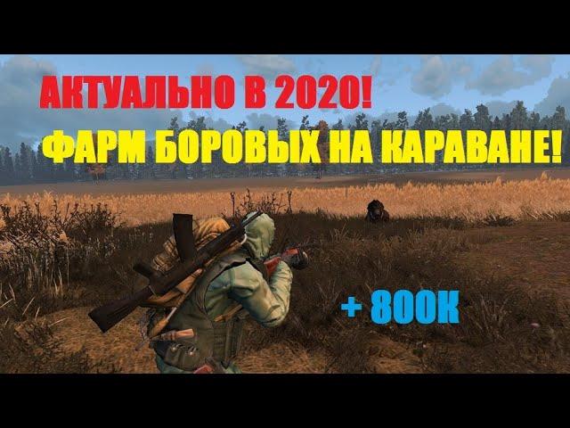 ФАРМ БОРОВЫХ АКТУАЛЕН?STALKER ONLINE ФАРМ КАРАВАНА С КСЮХОЙ!