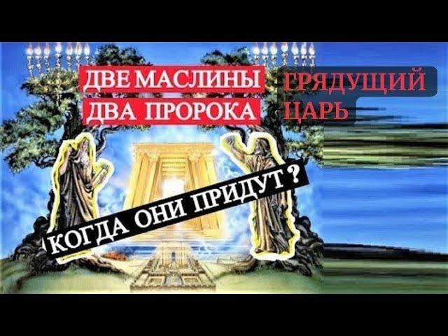 Пророчества о Женщине-Спасител нице Мира #пророчества #матьмира #дама #вестник #мессия