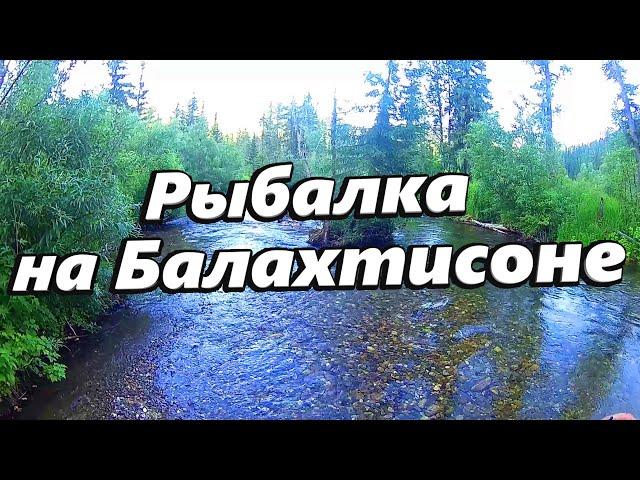 Рыбалка на хариуса летом на р.Балахтисоне.