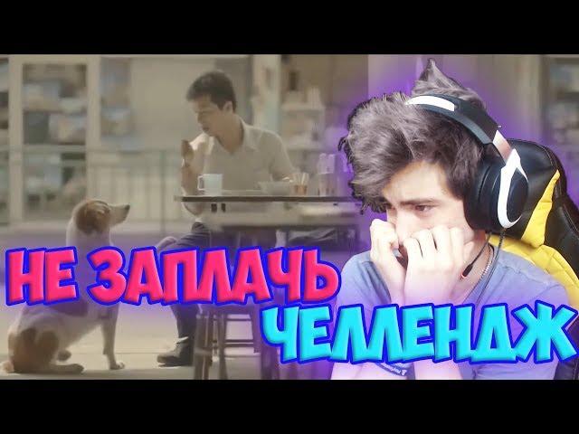 ПОПРОБУЙ НЕ ЗАПЛАКАТЬ ЧЕЛЛЕНДЖ | САМОЕ ГРУСТНОЕ ВИДЕО |НЕ ЗАПЛАЧЬ ЧЕЛЛЕНДЖ |TRY NOT TO CRY CHALLENGE