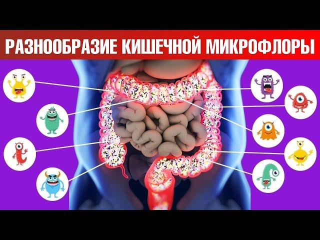 Как улучшить здоровье? Микрофлора кишечника – самое главное 