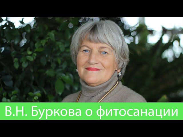 Фитосанация и фитооптимизация | В.Н. Буркова