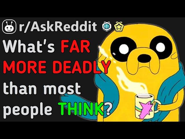 Things FAR DEADLIER Than You THINK!!!? (Reddit | AskReddit | Top Posts & Comments)