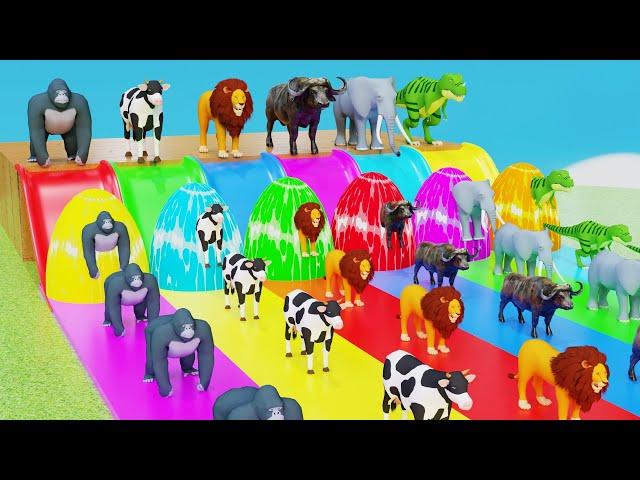 Paint and animals gorilla, Elephant, Duck Cartoon, Lion, Cow Fountain Crossing Wild Animals Game