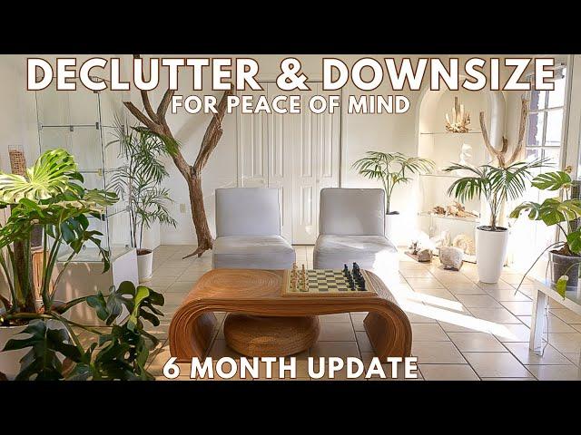 I Spent 6 Months Downsizing Plants & Stuff | Plant Mail + Purge