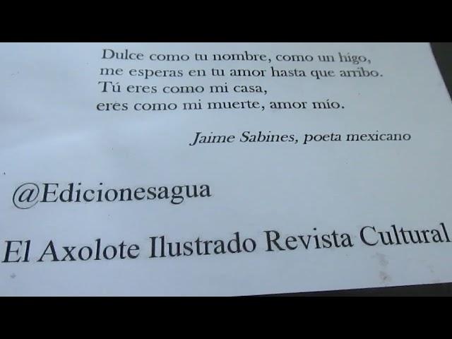 México es... cultura. Suscríbete...