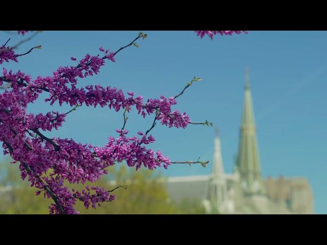 Creighton University Campus Walk – Spring 2019