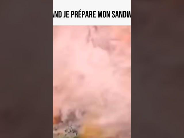 QUAND JE PRÉPARE MON SANDWICH