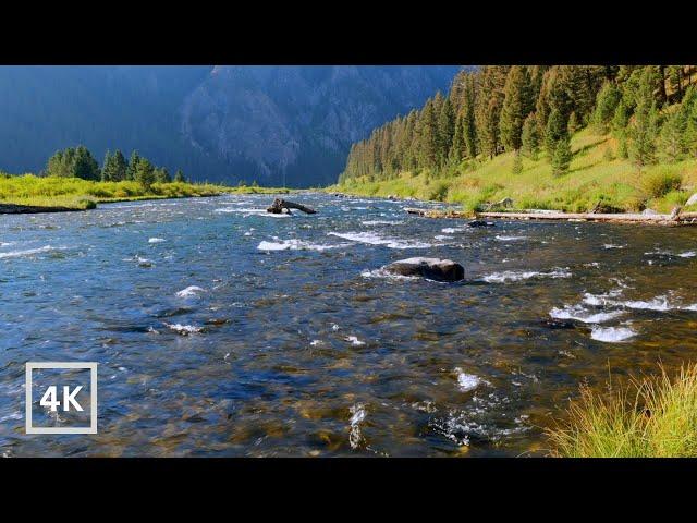 4K Madison River Sunrise | Yellowstone National Park | Nature Scene for Relaxation | White Noise