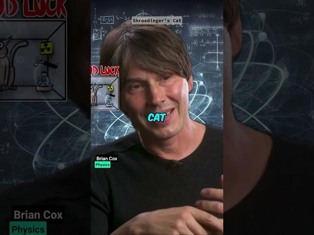 Schrödinger's Cat EXPLAINED ‍⬛ by Brian Cox #shorts #science #cat #physics