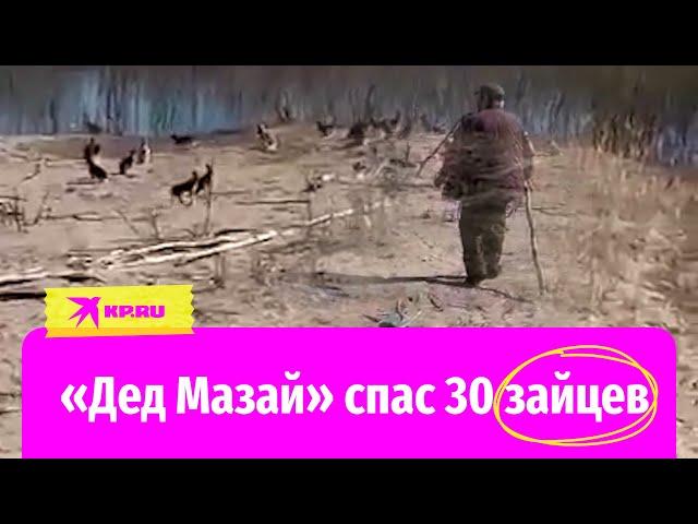 «Якутский дед Мазай» спас 30 зайцев с утопающего острова