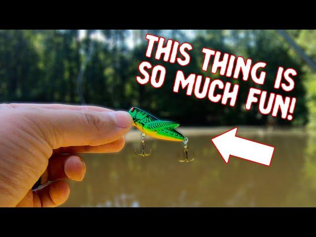 Fall Crankbait Ultralight Fishing – Rebel Crickhopper (HUGE SURPRISE!)