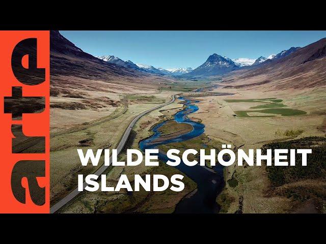 Island | Unterwegs im hohen Norden | ARTE Family