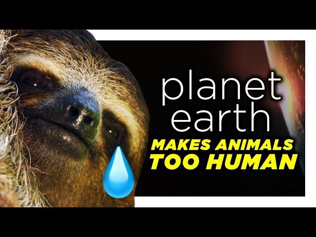 Planet Earth Is Reading Too Far Into These Animals | CH Shorts