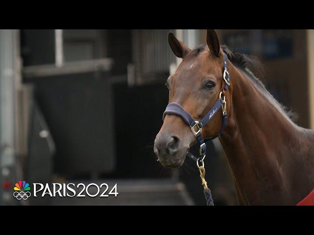 Horses arrive in style at the iconic Chateau de Versailles for the Paris Olympics | NBC Sports