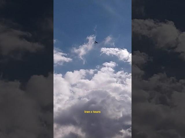 fly