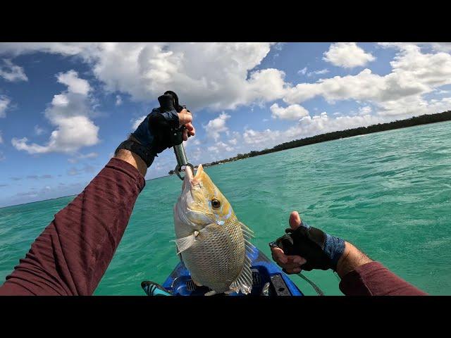 Capitain Season is here!! Fishing Beach Mauritius 2024