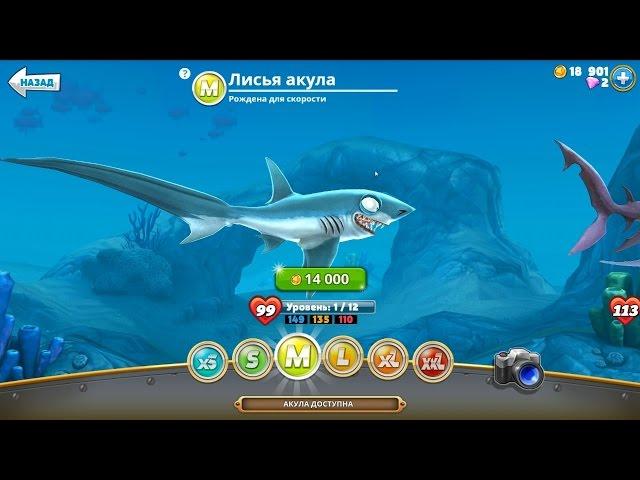 Hungry Shark World - Купил лисью акулу