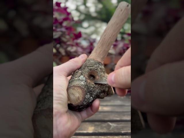 Relax, it’s art 🪵 #carving #woodcarving #woodworking #woodworkingart #nature #relaxing