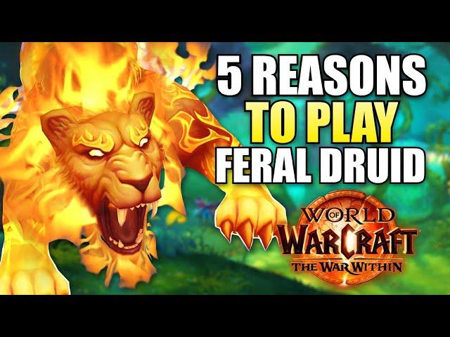 Top 5 Reasons To Play Feral Druid In WoW: The War Within