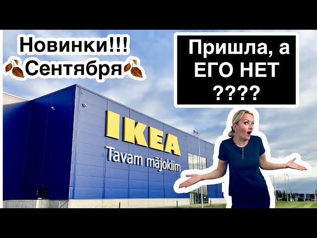 ИКЕА IKEA‼️ Новинки сентябряПришла, а его нет!?Обзор НОВИНОК